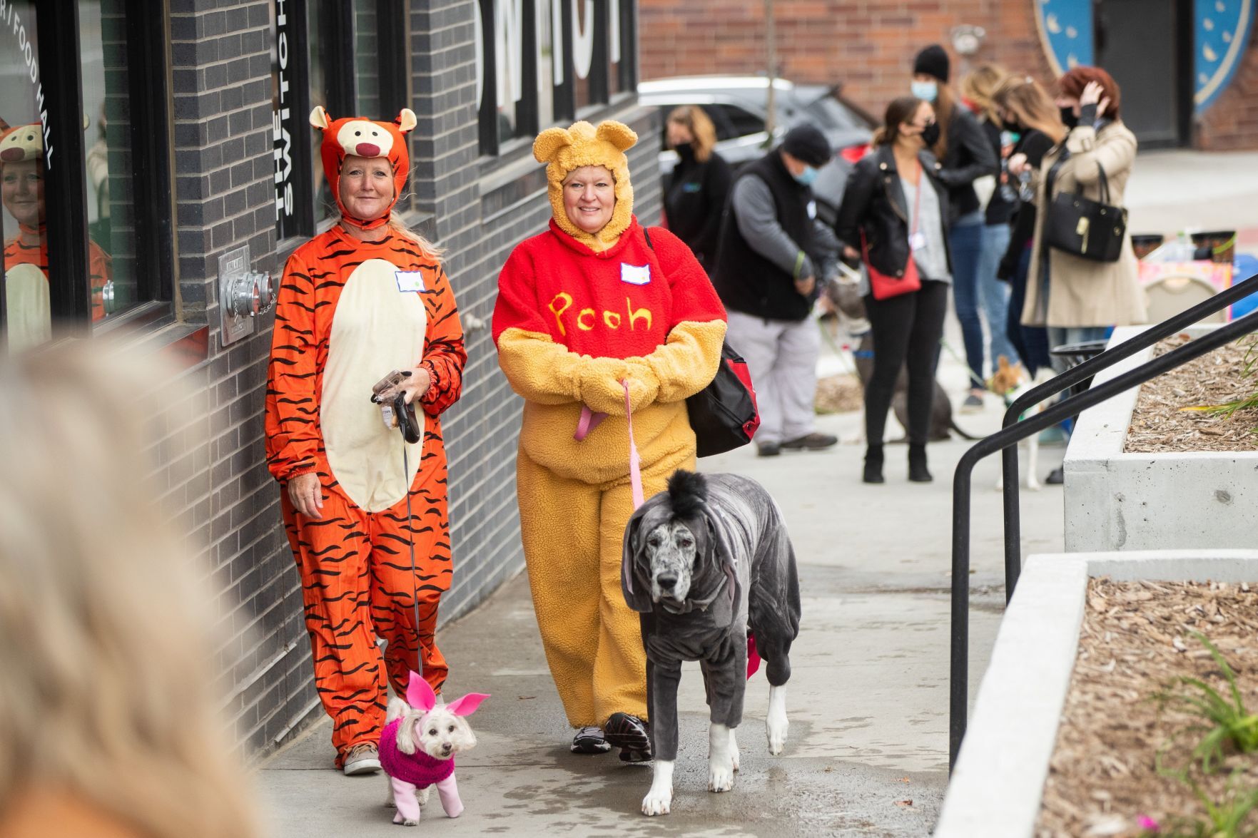 Pet Parade